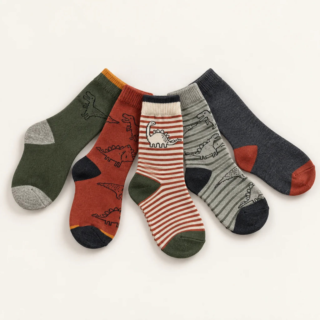 Boys Dinosaur Crew Socks – Pack of 5 | 9–10 Years